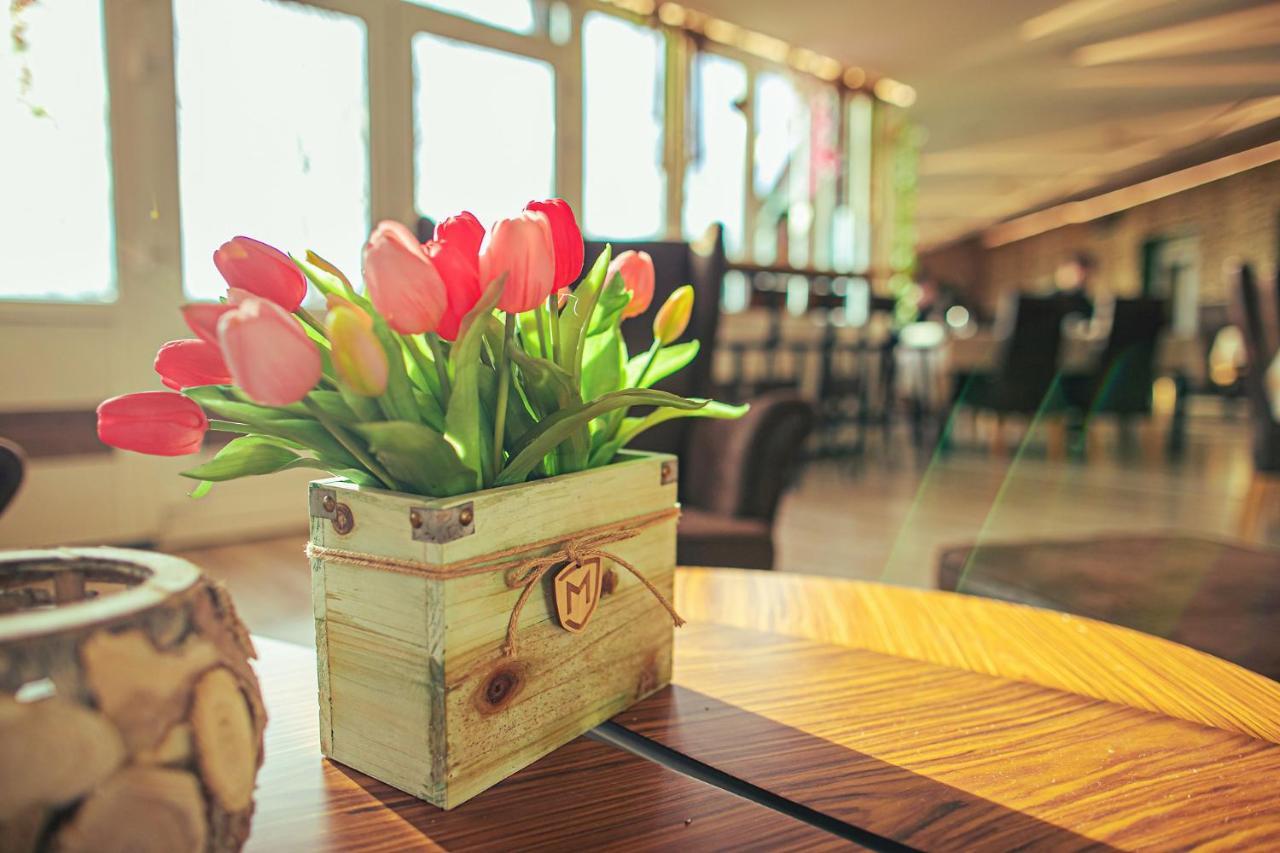 Martoni Resort & Restaurant Szigetszentmárton Zewnętrze zdjęcie